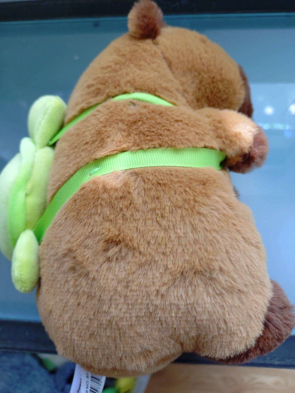 Giocattoli: Capybara plüschtier mit Schildkröten Rucksack 22 cm – Usato da Bottmingen venduto da Pidi0 1