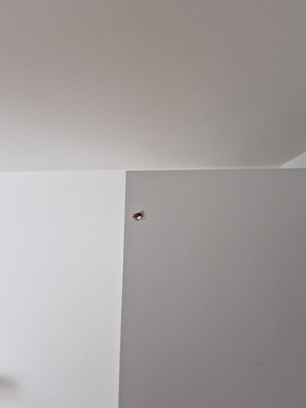 Ikea Armadi: Kleiderschrank Pax – Usato da Niederwangen BE venduto da Hawwa77 1