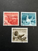 FL 1950 Jagdserie schöer Eckstempel   (4565)