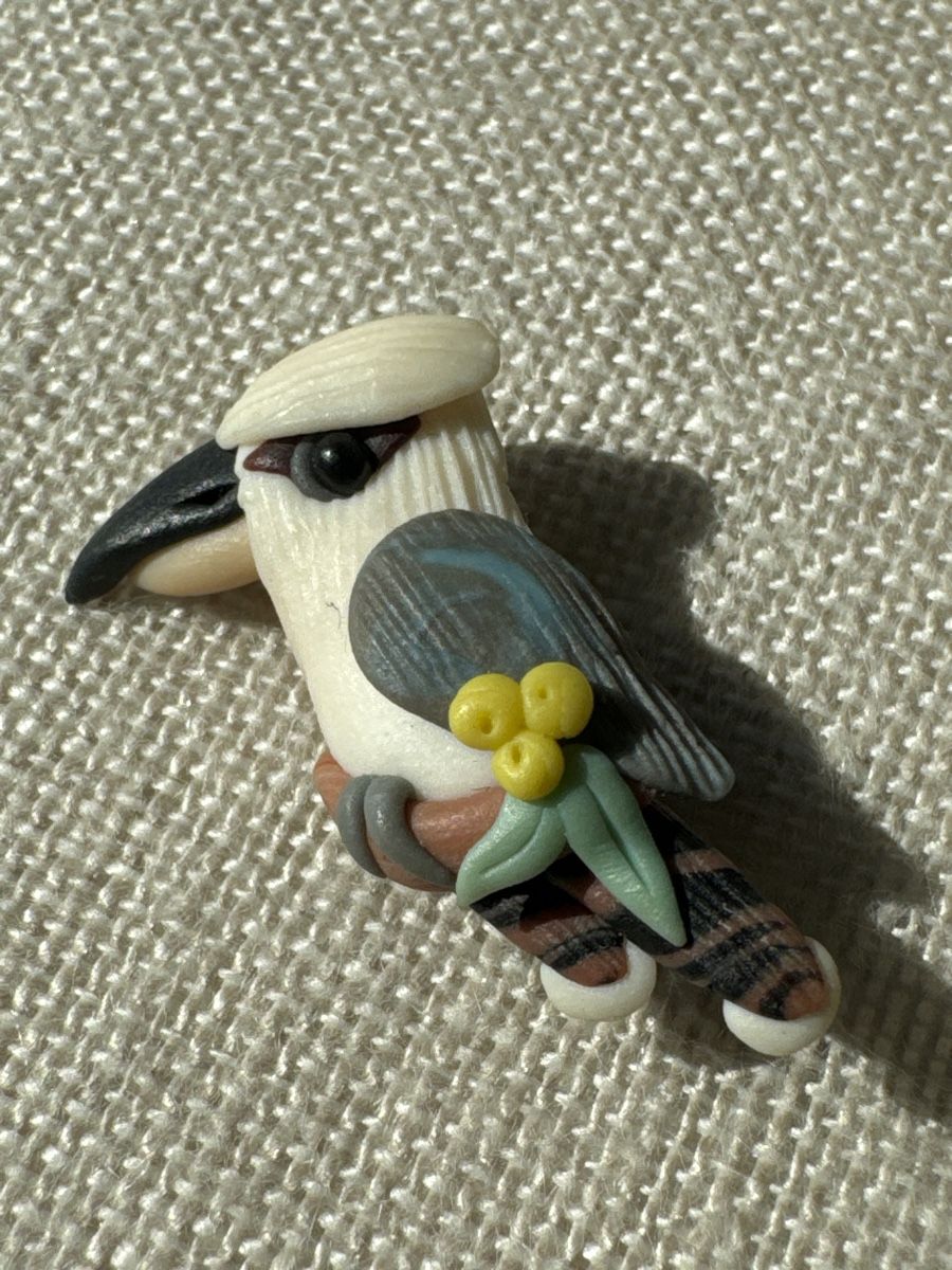 Spille & Fermagli: Kookaburra Brosche – Nuovo (secondo la descrizione) da Brütten venduto da Rod816