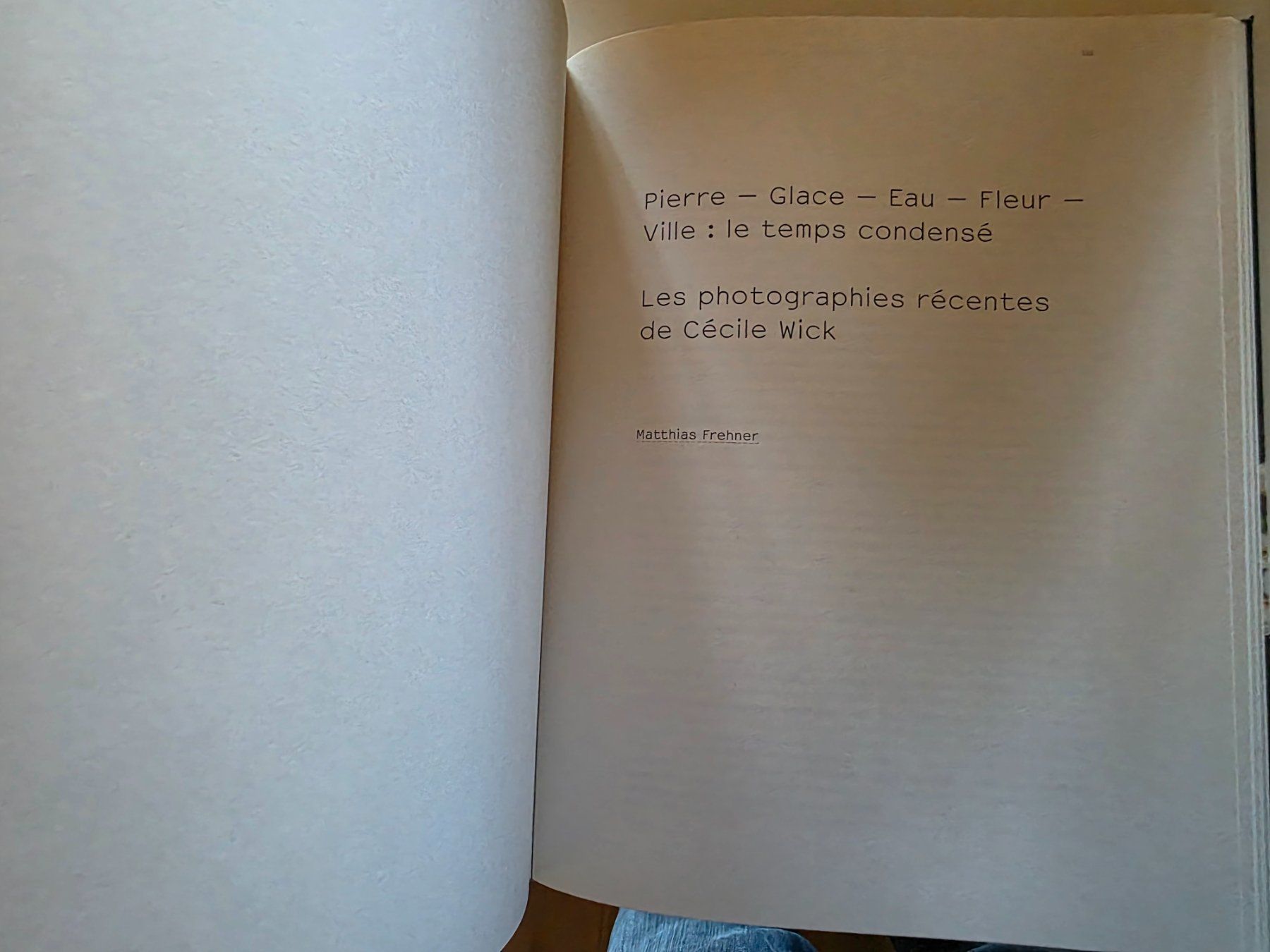 Libri: Cécile Wick - Weltgeschichte - Kunstmuseum Bern 2006 – Nuovo (secondo la descrizione) da Walterswil BE venduto da Lonitti 9