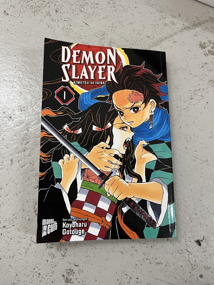 Fumetti: Demon slayer Manga 1 – Usato da Zürich venduto da Chloemanza