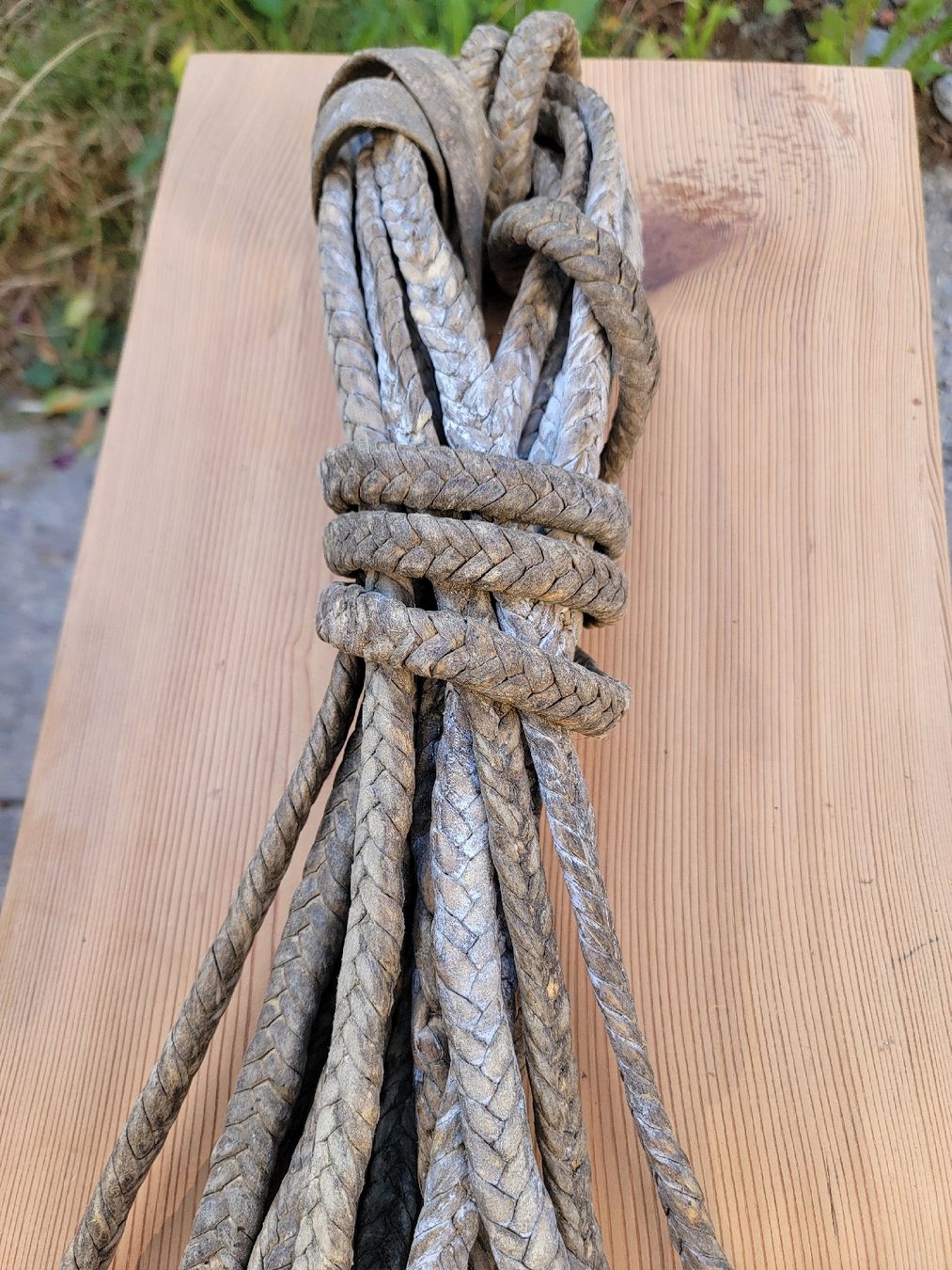 Corde: Lederseil Tretsche – Usato da Sils im Domleschg venduto da platin01 1