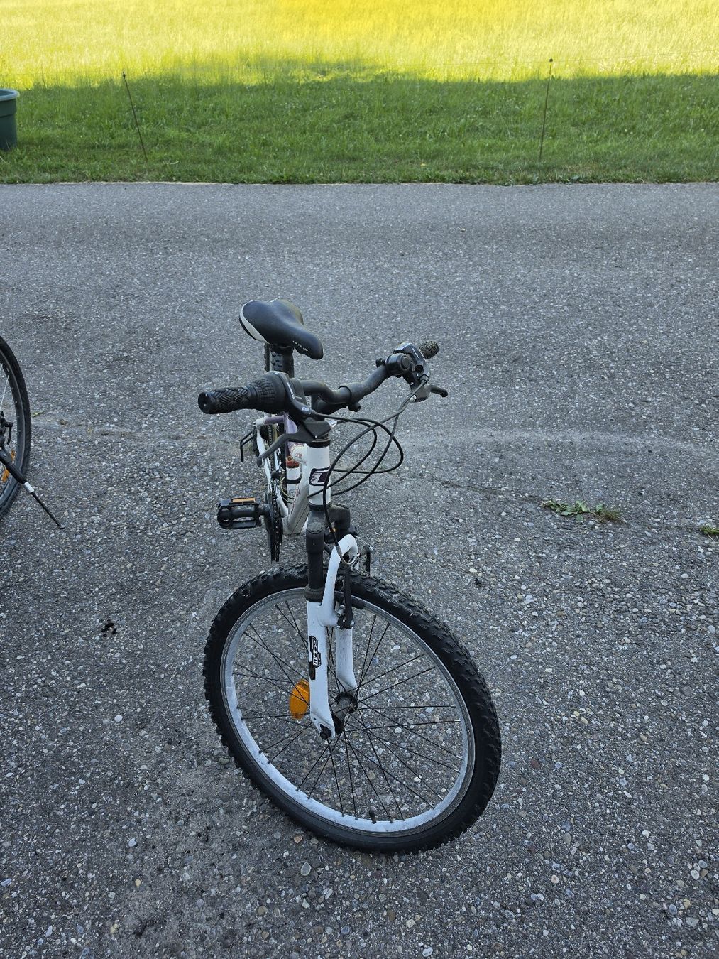 Velos: Mountainbike weiss Lila – Defekt aus Wald ZH von m_tresch 1