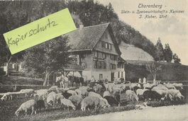 Littau LU Gasthaus z. Hammer Thorenberg Fuhrwerk Schafe 1910