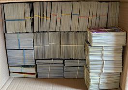 Pokémon Sammelkarten Bulk