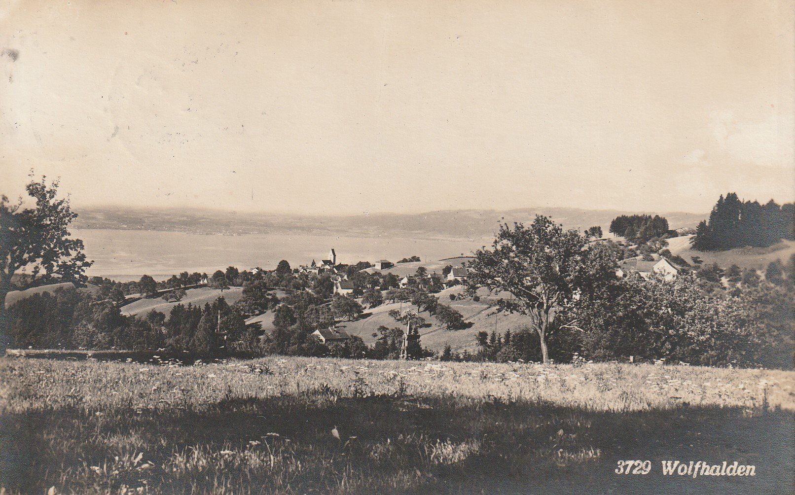Cartes postales: Wolfhalden - 1924 – D'occasion à uttwil par Koehlerfred