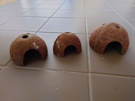 Kokoshäuschen