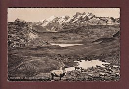 FRUTT - Am Melchsee - Kühe - 1943