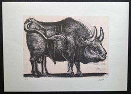 Pablo Picasso Le Taureau (Der Stier - The Bull) – 70 x 50 cm