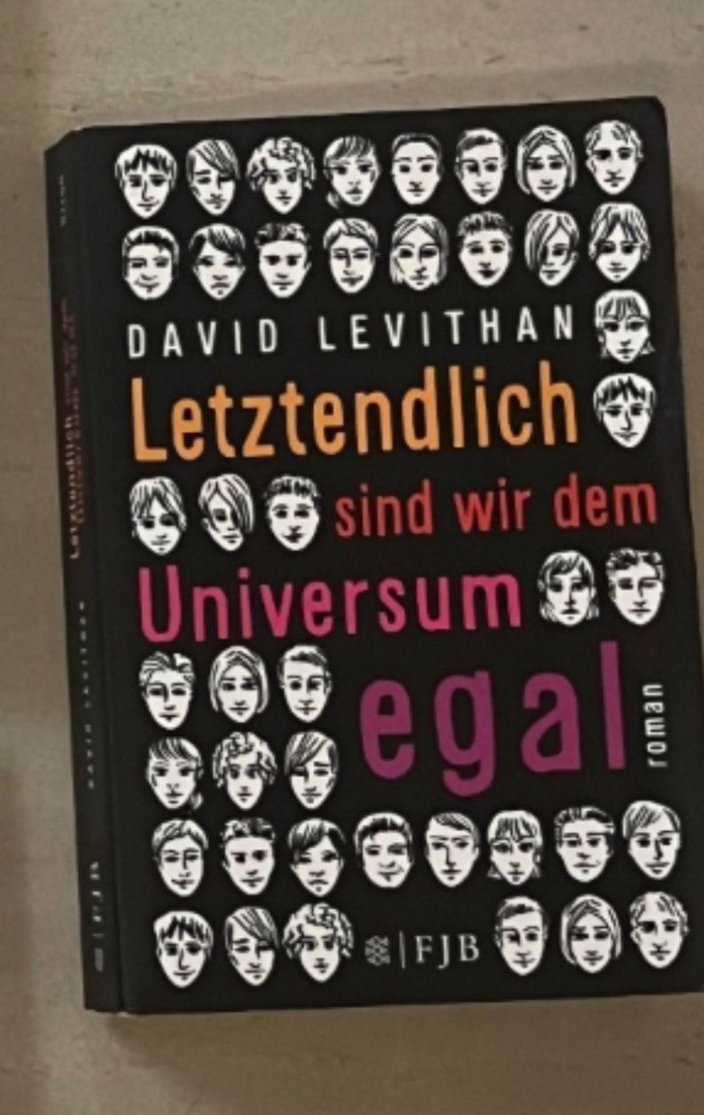Libri: David Levithan: Letztendlich Roman – Usato da Luzern venduto da Sono2