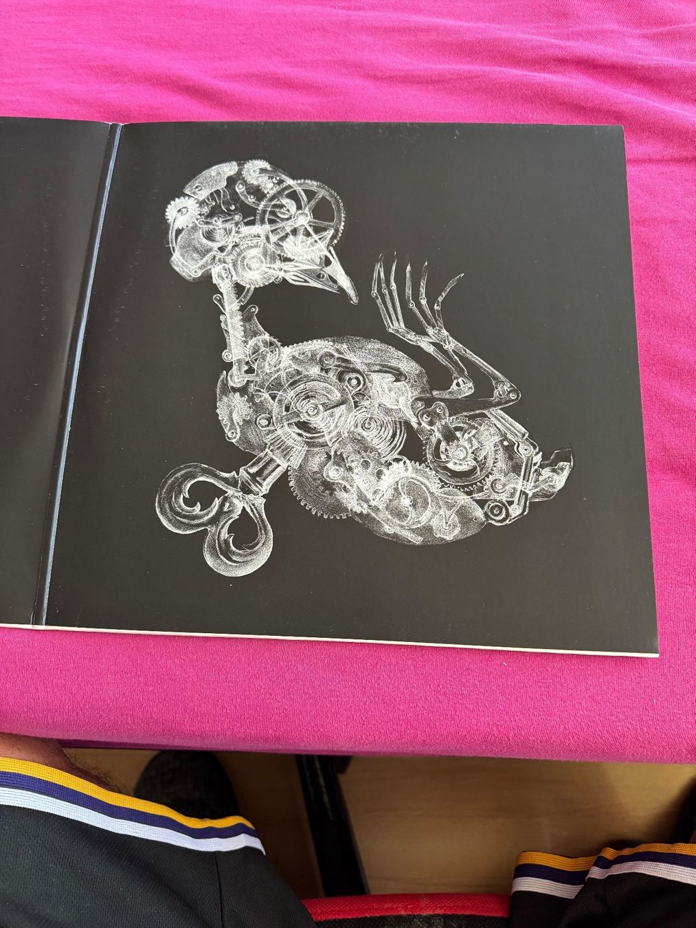 Dischi in vinile: Vinyle Macadam Dive Red Queen Hypothesis occasion – Usato da Delémont venduto da pinguino6 3