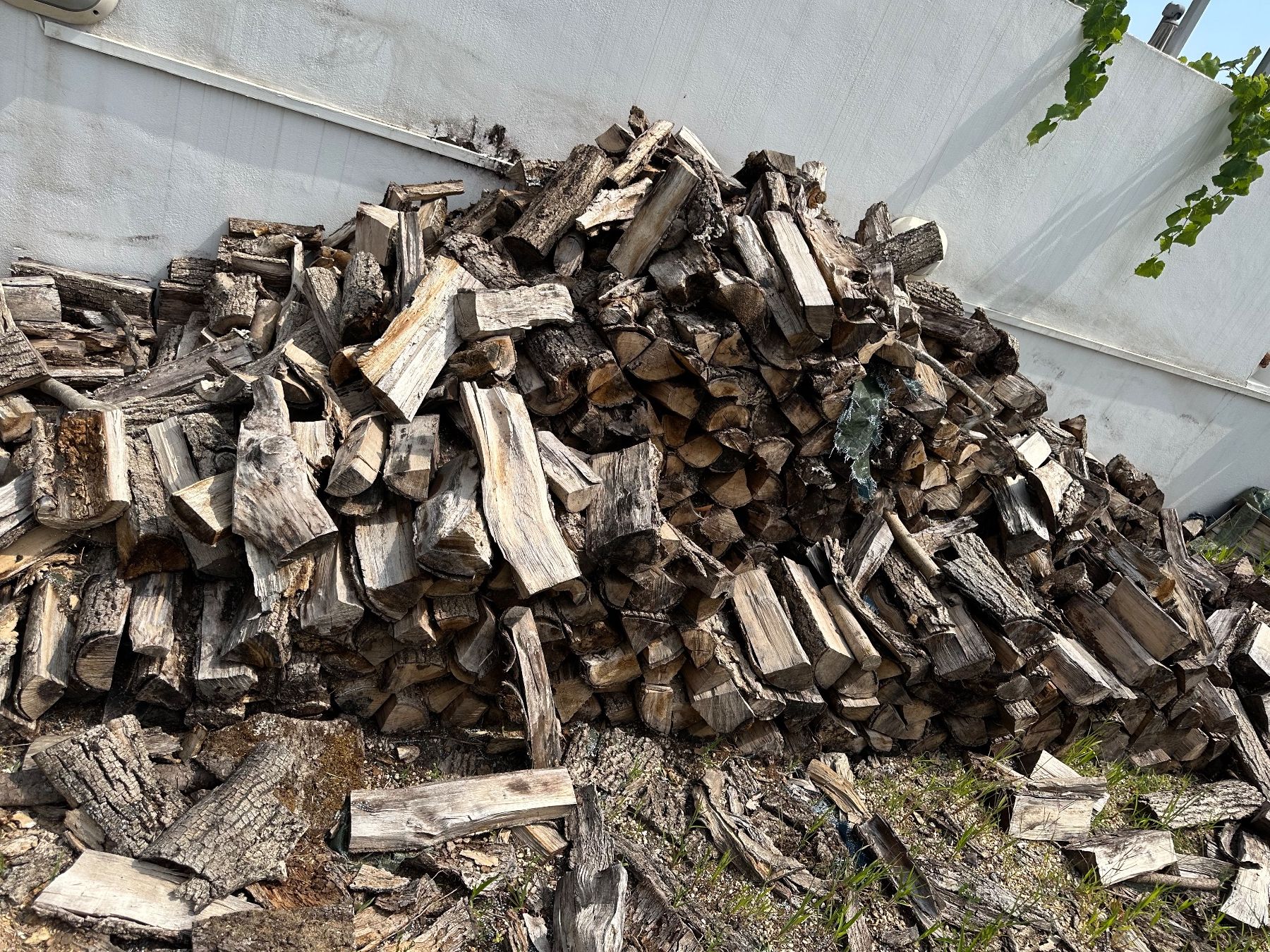 Articoli in legno: Bois de chauffage chêne (accès difficile) – Usato da Chigny venduto da Chris0005
