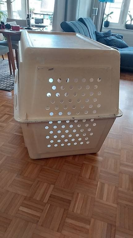 Käfige, Transport & Sicherheit: Hundebox gross – Gebraucht aus Lachen SZ von smile3000 2
