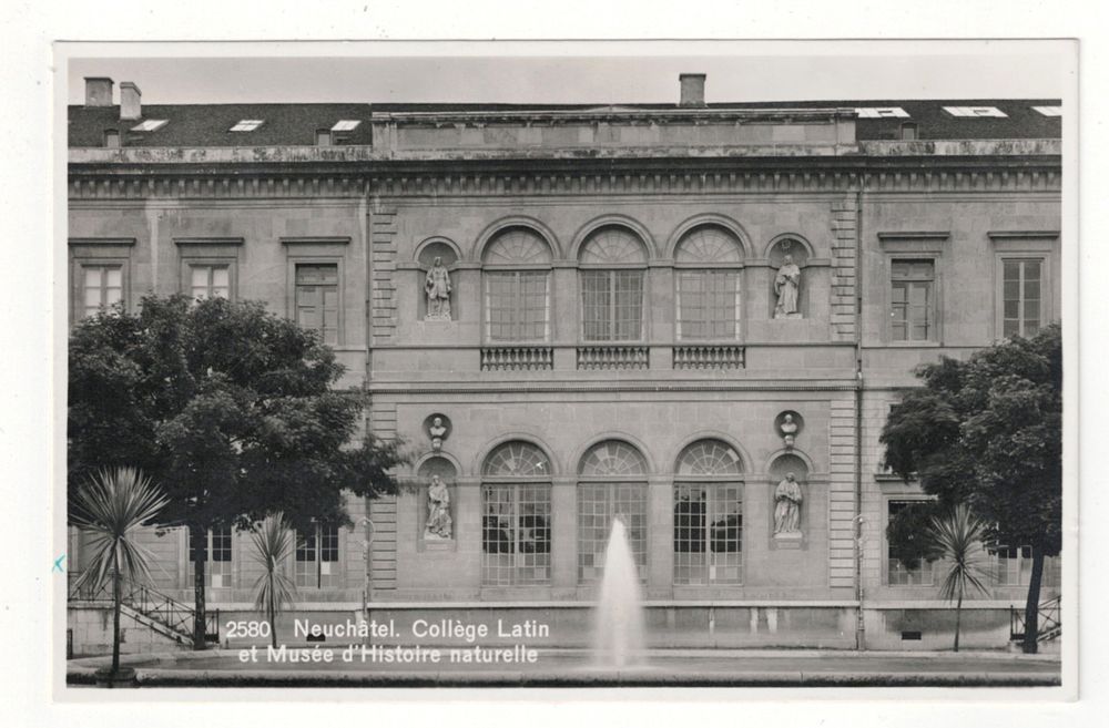 neuch-tel-coll-ge-latin-et-mus-e-d-histoire-naturelle-1934-d