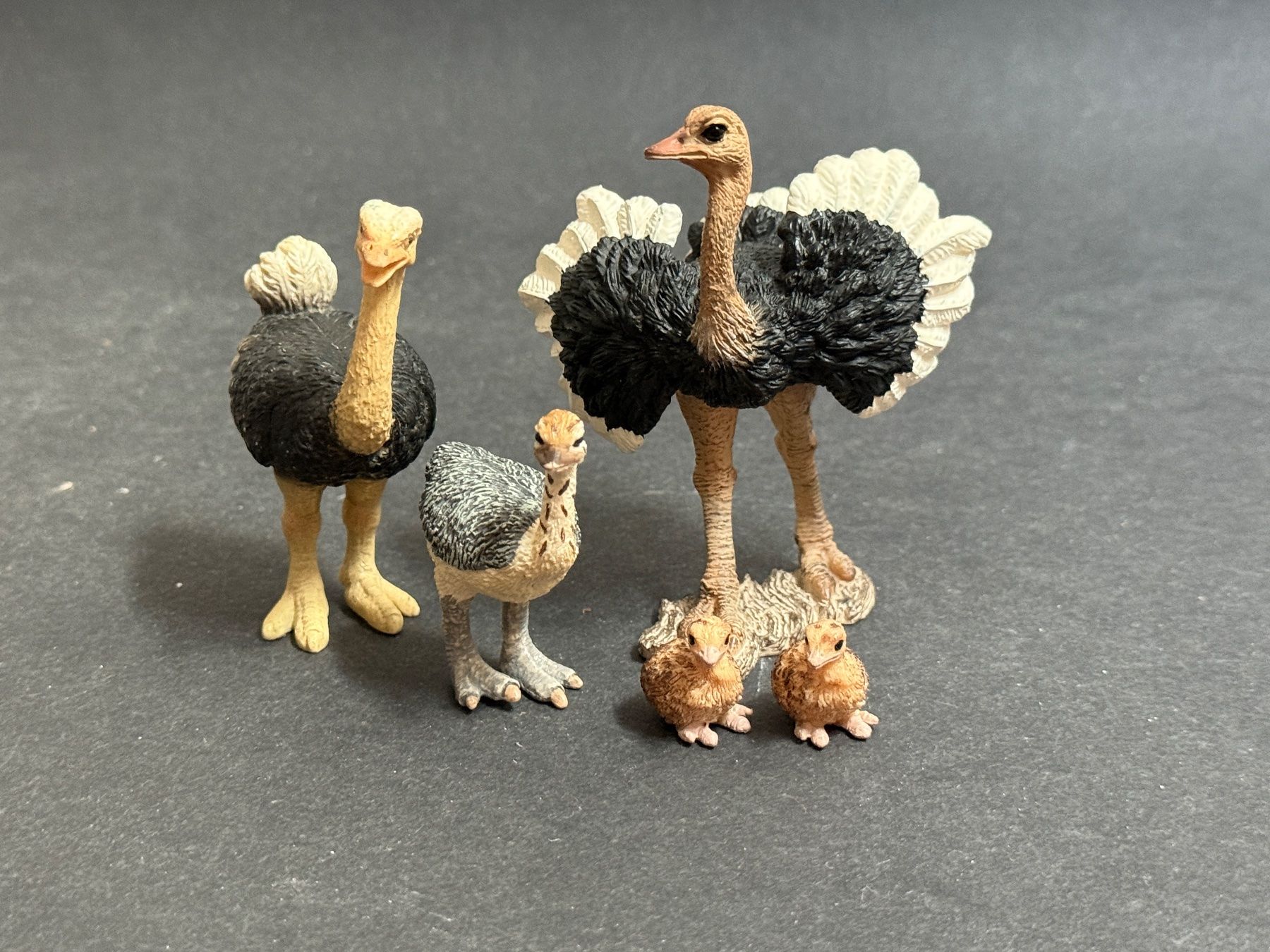Schleich Figuren: Schleich Strauss Familie – Gebraucht aus Ennetbaden von mapa05