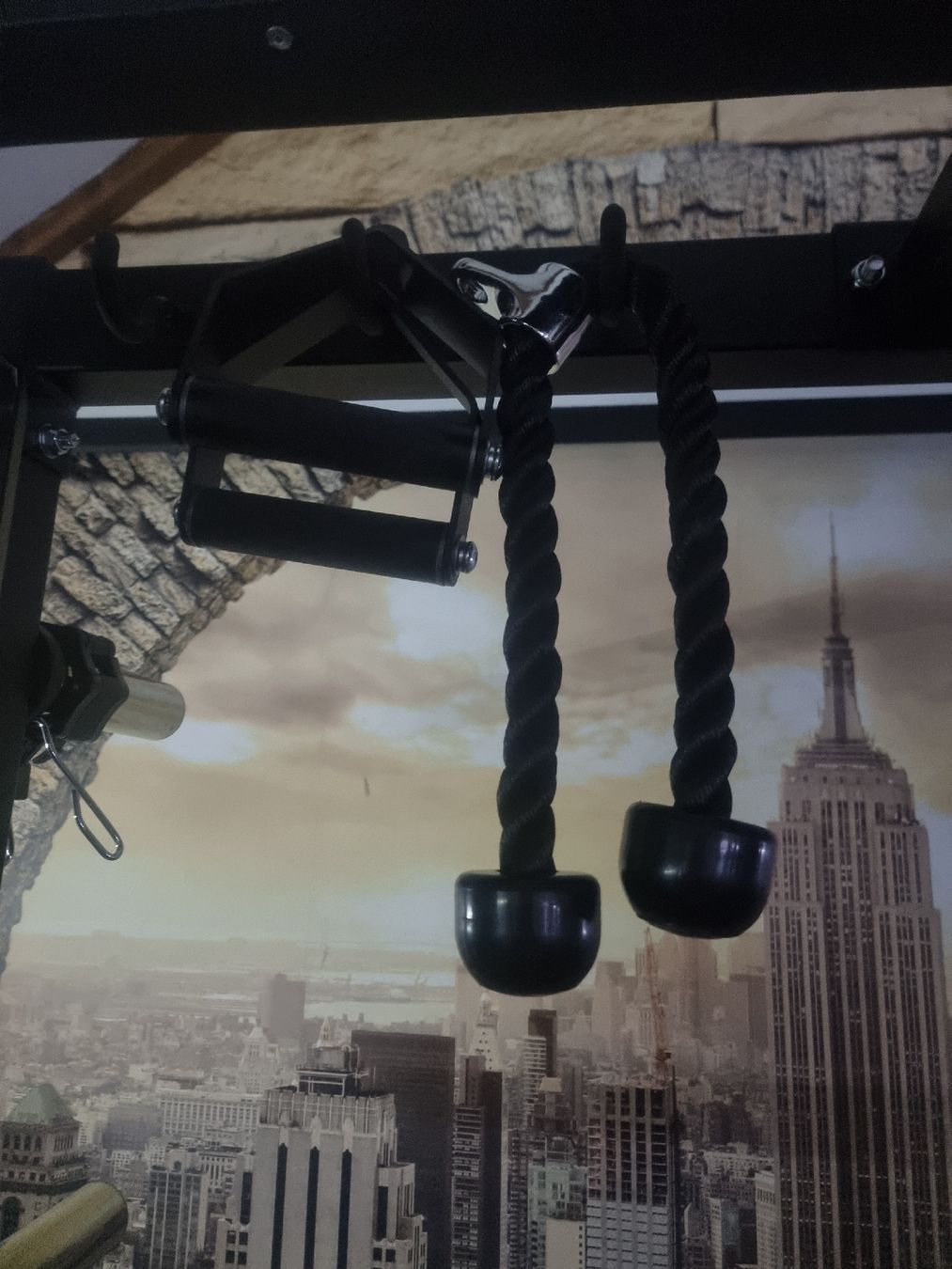 Hometrainer: Kraftstation Force USA G20 – Usato da Oberbussnang venduto da koc_lnl8 7