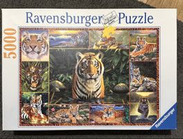 Ravensburger Welt der Tiger 5000 Teile