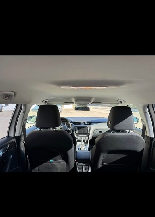 Skoda Automobili: Skoda Octavia 2.0 TDI DSG – Usato da Matzingen venduto da szr_57 5
