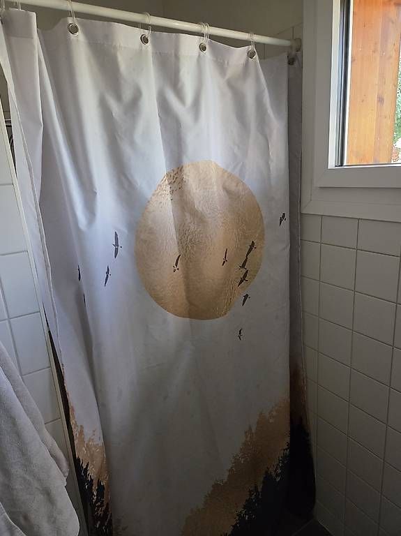 Tende: Verschiedene Badmöbel  - Dusche vorhang – Usato da Aarberg venduto da Dieter799