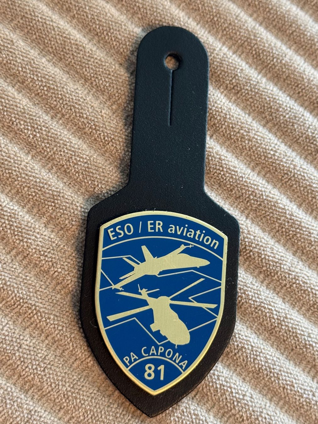 Schweizer Armee Placchette & Badge: Brustanhänger: ESO/ER Aviation 81 - Schweizer Luftwaffe – Nuovo (secondo la descrizione) da Brütten venduto da Hst1 1