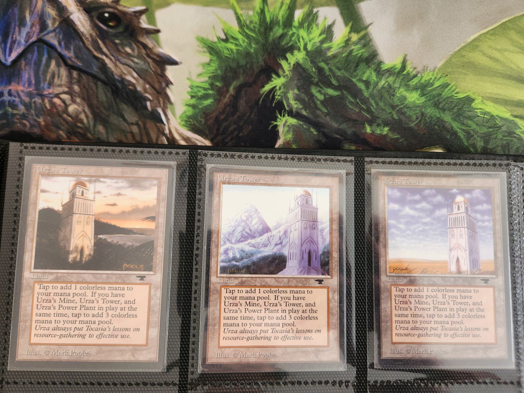 Magic The Gathering Carte collezionabili: MTG 12 Urzas Länder Antiquities – Usato da Bütschwil venduto da Osomo 1