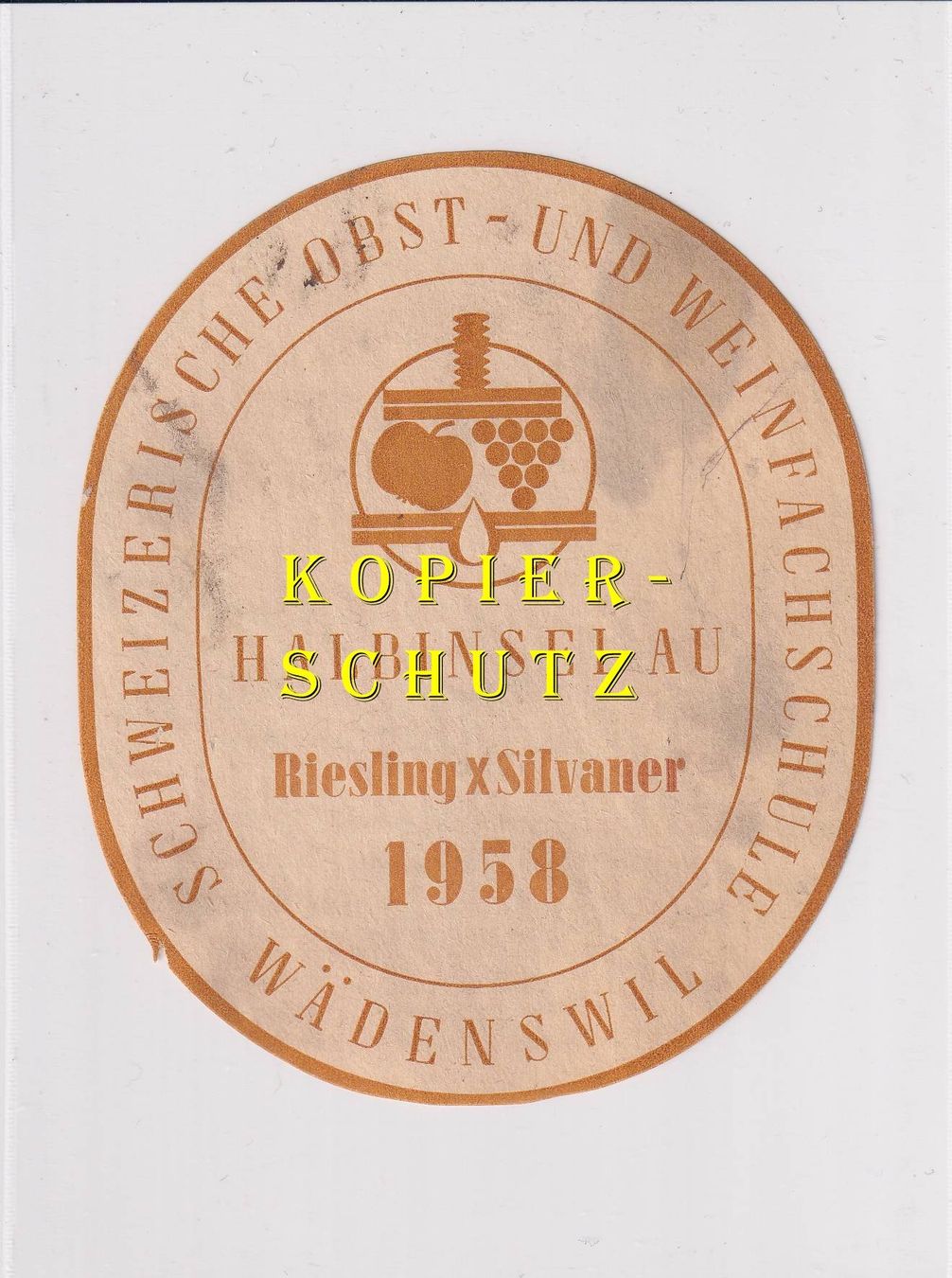 Papiere: Etikette - RieslingxSilvaner "Halbinsel Au" 1958 /bd – Gebraucht aus Hombrechtikon von Rudolf07