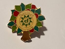 1 Pin Oeko Stern