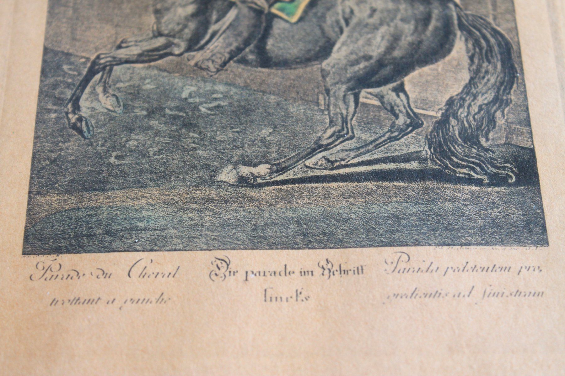 Grafiken & Lithographien: J. E. Ridinger - Die Parade im Schritt links – Gebraucht aus Rebstein von QuasarVincent 2