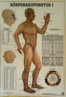 Acupunktur Poster Set I II III - Wissen für Kenner Top!