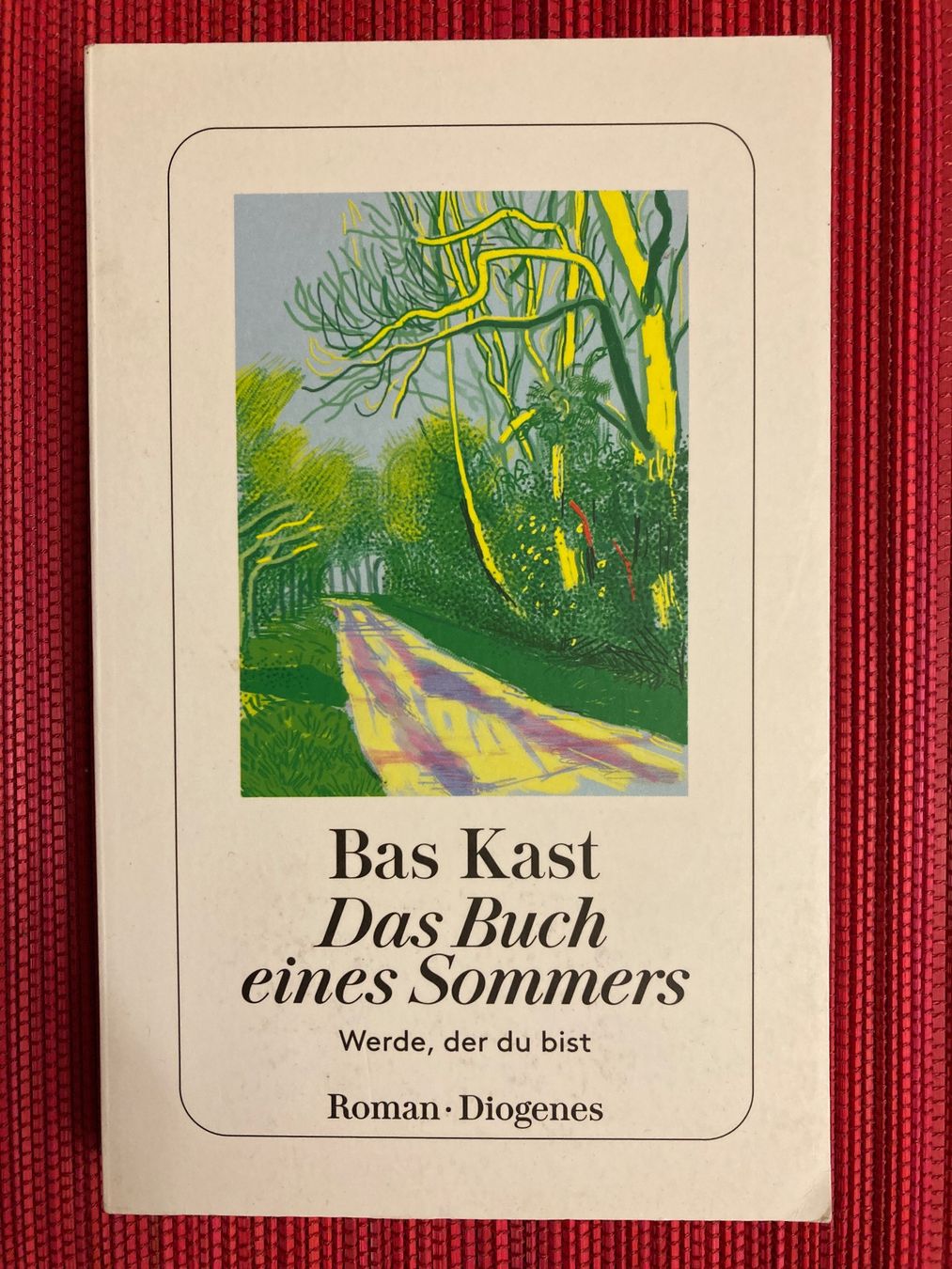 Libri: Bas Kast, Das Buch eines Sommers, Diogenes Verlag – Usato da Baden venduto da Yoyo1