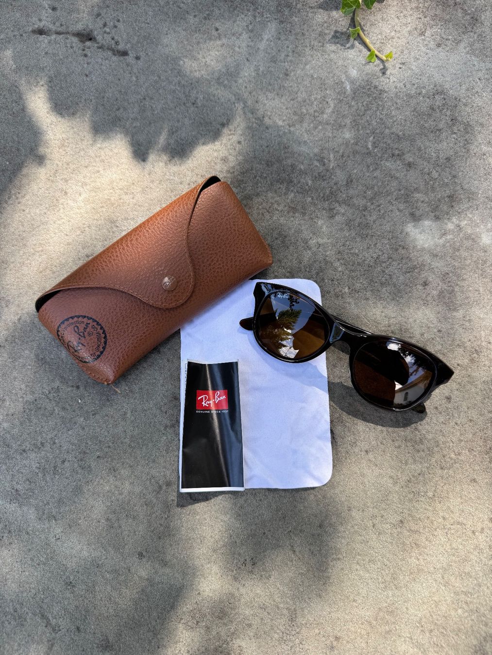 Ray-Ban Occhiali & Lenti: Original Ray-Ban RB4203 Sunglasses With Case – Nuovo (secondo la descrizione) da Effretikon venduto da rus_2l2p