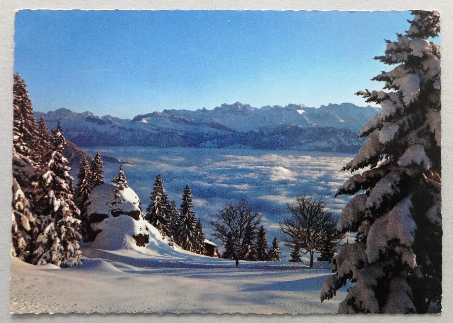 Ansichtskarten: Abendstimmung, Rigi Kaltbad-Känzeli – Gebraucht aus Fétigny von Billy2miny