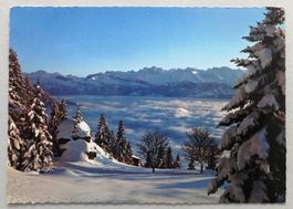 Abendstimmung, Rigi Kaltbad-Känzeli