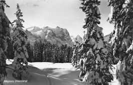 Hasliberg (BE) – Mägisalp Winterpanorama