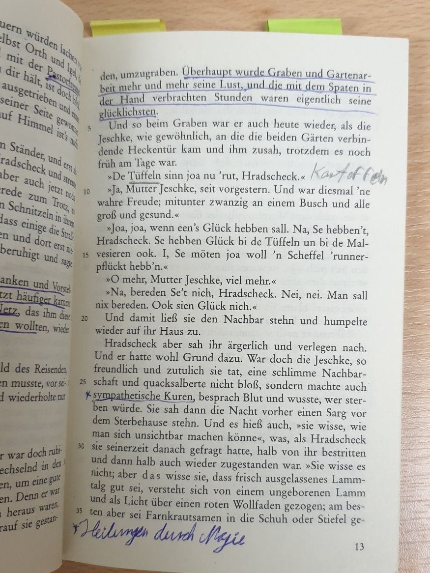 Livres: Unterm Birnbaum - Theodor Fontane Buch – D'occasion à Volketswil par jul_hwb8 1