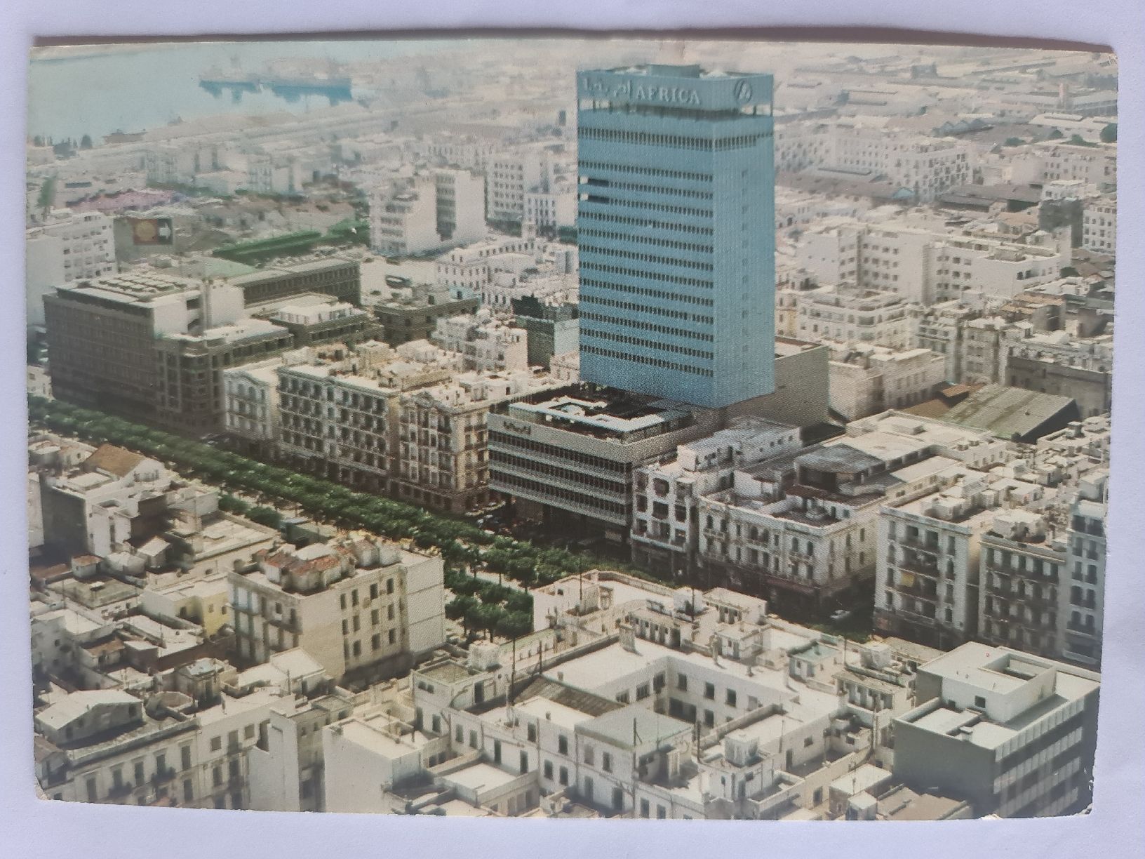 Cartes postales: Ansichtskarte Tunis Tunesien 493 – D'occasion à Dintikon par Vexi