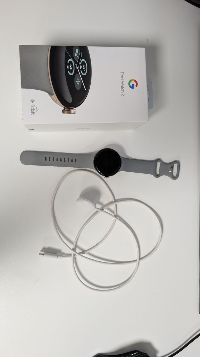 Google Smartwatch: Google Pixel Watch 2 Champagne Gold / Hazel – Usato da Sursee venduto da Salihu
