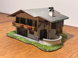 G0826: Chalet  in den Bergen, mit Figur (Spur N)