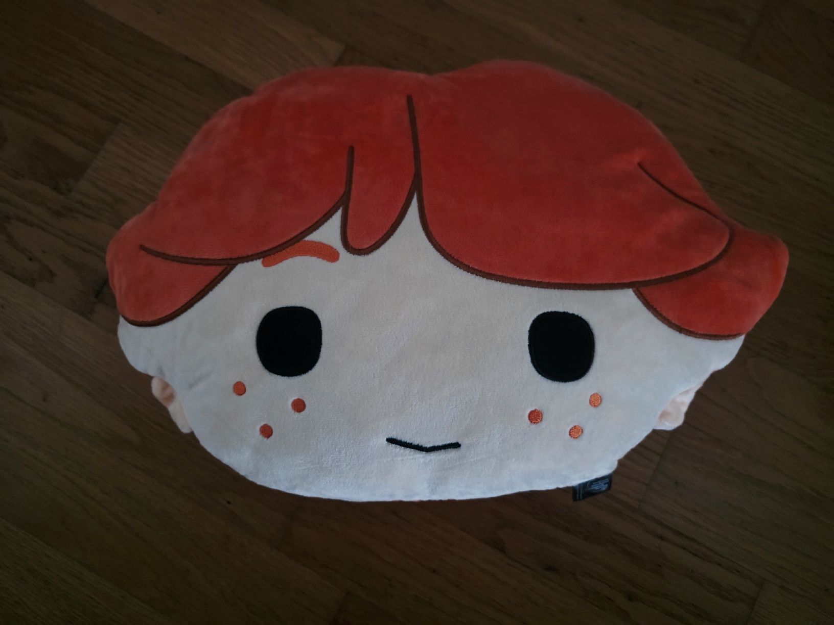 Cuscini: Coppia Cuscini Decorativi Harry Potter + Ron Weasley – Usato da Porza venduto da fra_c8qj 3