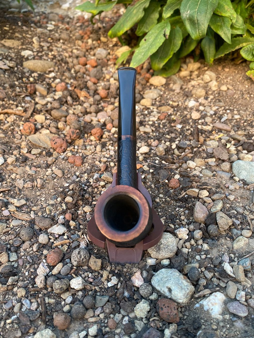 Pipe & Accessori: Tabak Pfeife Gigi – Usato da Schänis venduto da M.a.r.k.85 2