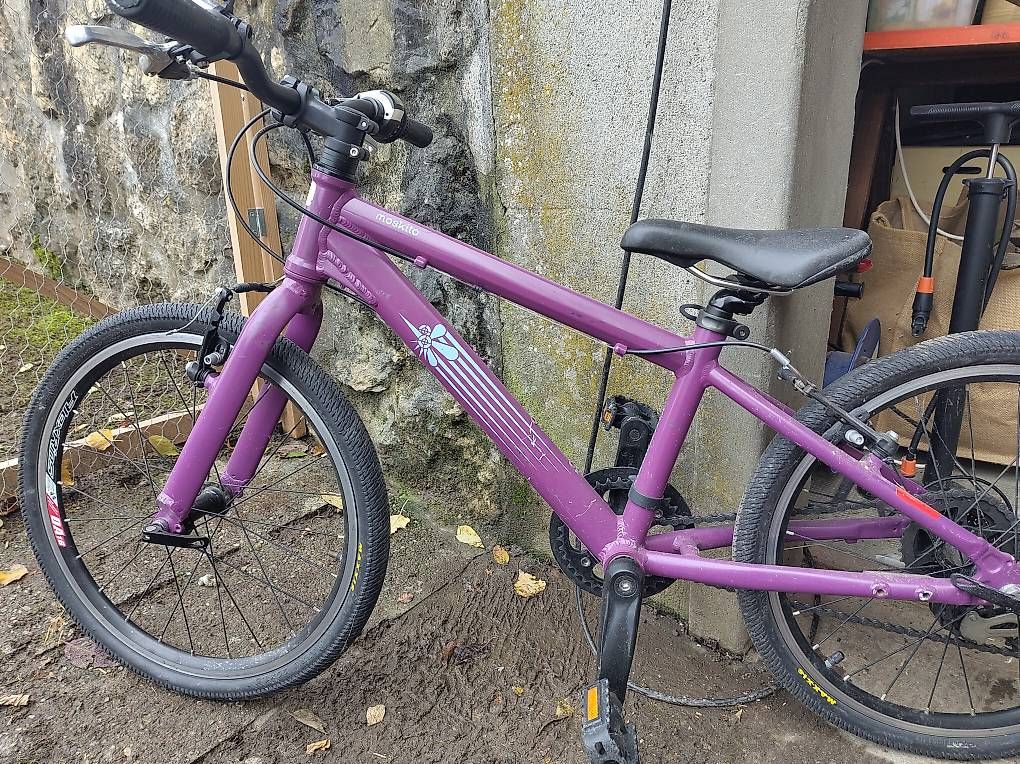 MTB Cycletech Vélos: MTB cycletech Moskito 20" – D'occasion à Vufflens-la-Ville par mmsa