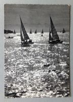 Am Zürichsee