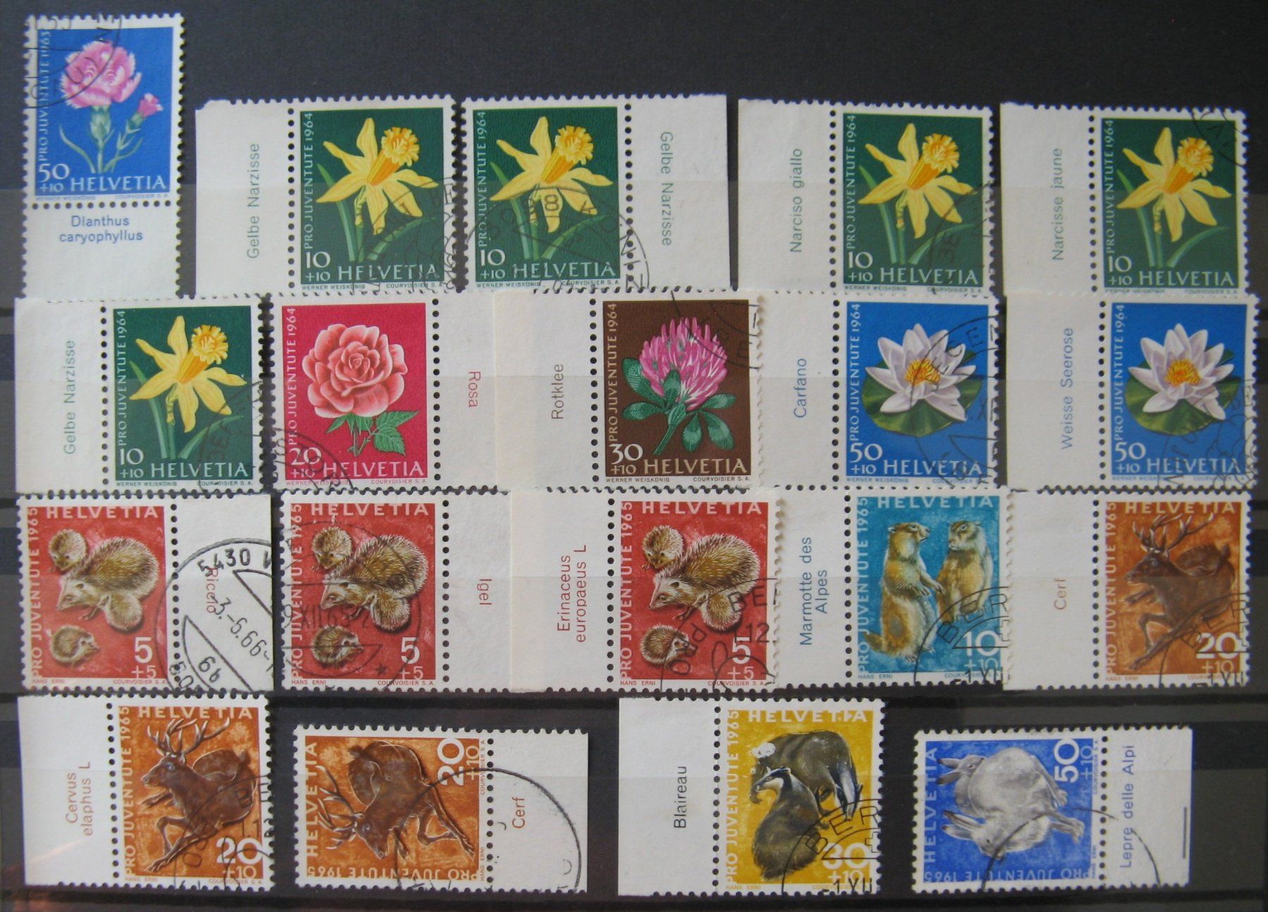 Tutti i francobolli: PJ 1950 - 1976 mit Tabs gestempelt – Usato da Frauenfeld venduto da Interessent1 4