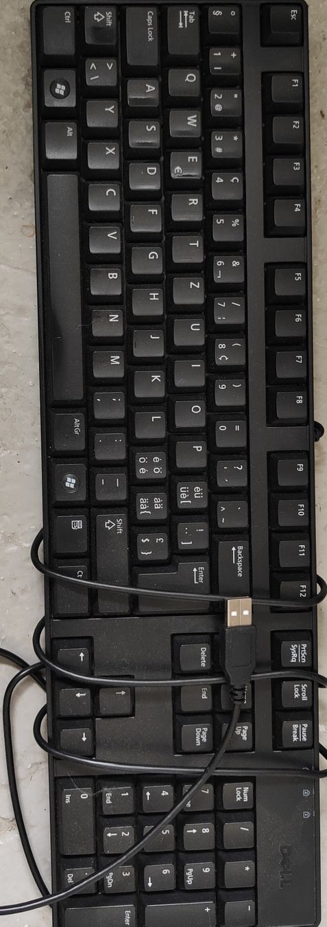 Dell Tastiere: Schwarze Dell Tastatur USB – Usato da Möriken AG venduto da ste_sdp9