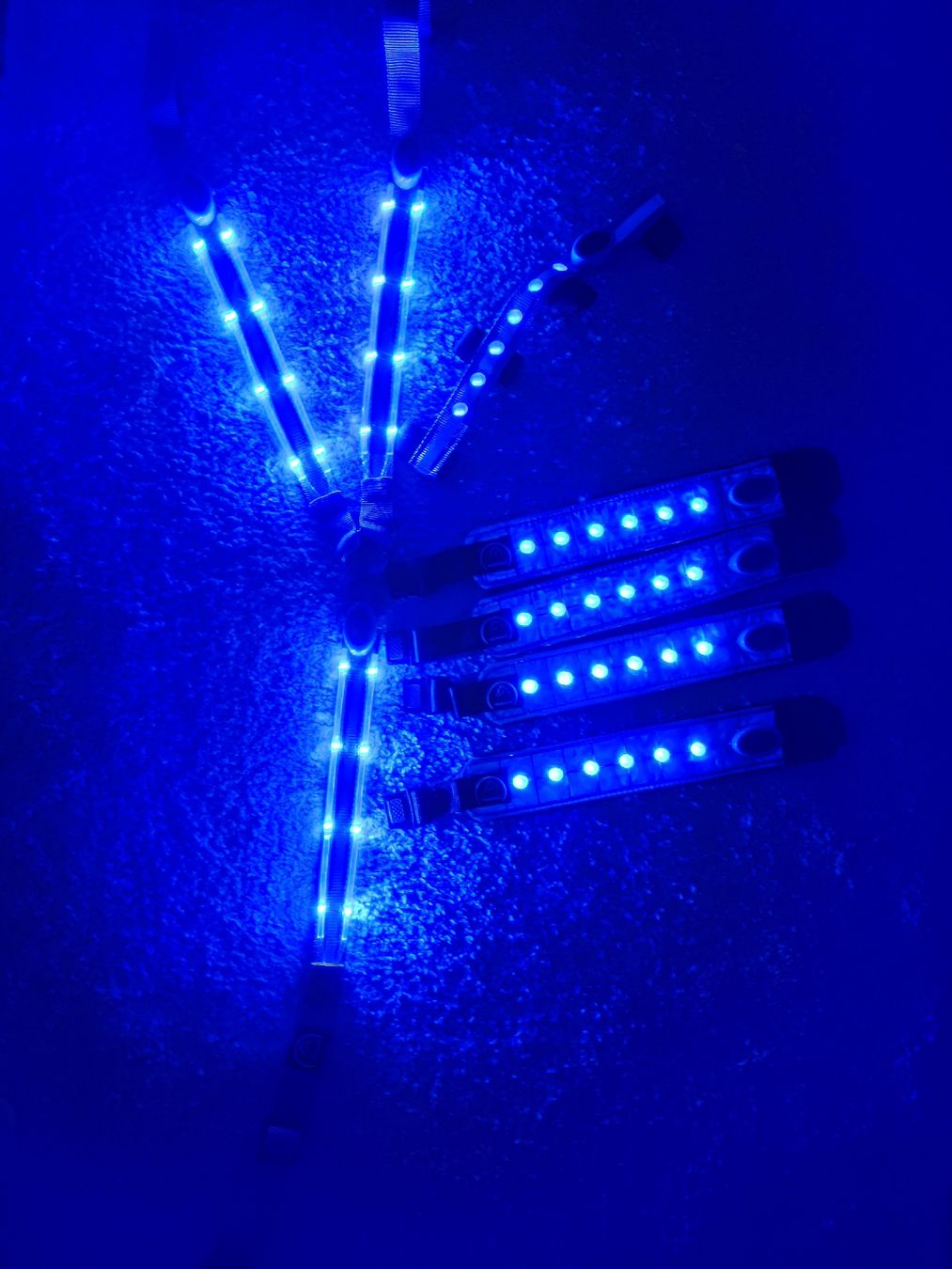 Zaumzeug & Halfter: LED Set Blau – Neu (gemäss Beschreibung) aus Kerzers von sb_12