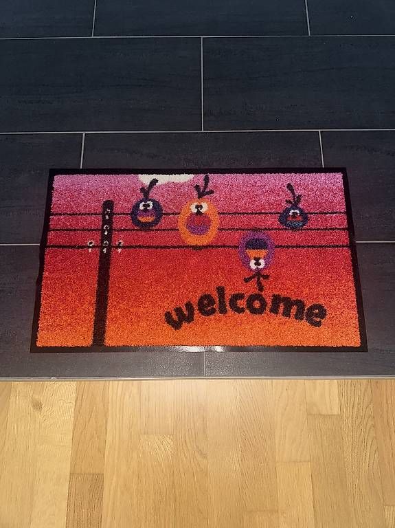 Tappeti: Fussmatte 75 x 45cm – Usato da Zürich venduto da StereoMinus