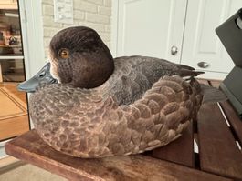 Lockenschnabel Ente Dekofigur Jacklzouis 28cm gebraucht