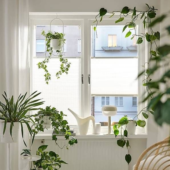 Tende da sole: 3 Stores plissés, blanc, 60x130 cm – Usato da Corcelles-le-Jorat venduto da Fashion_Unfold