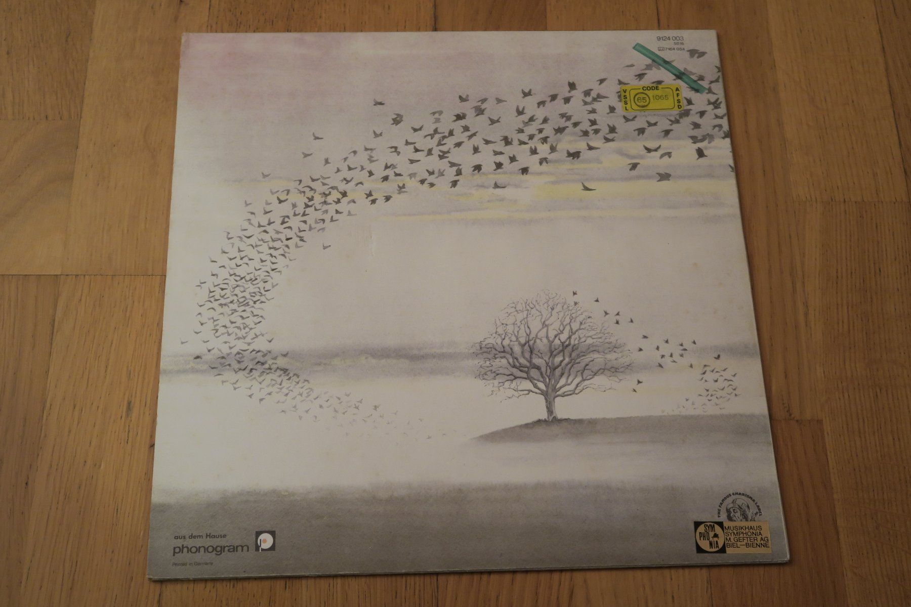 Dischi in vinile: Genesis – Wind & Wuthering – Usato da Thun venduto da Karibu70 1